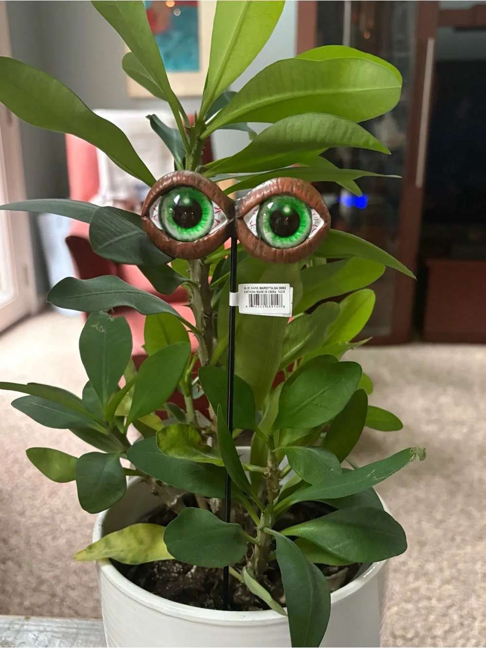 HALLOWEEN Spooky Eyes Plant/Garden Stakes Decor